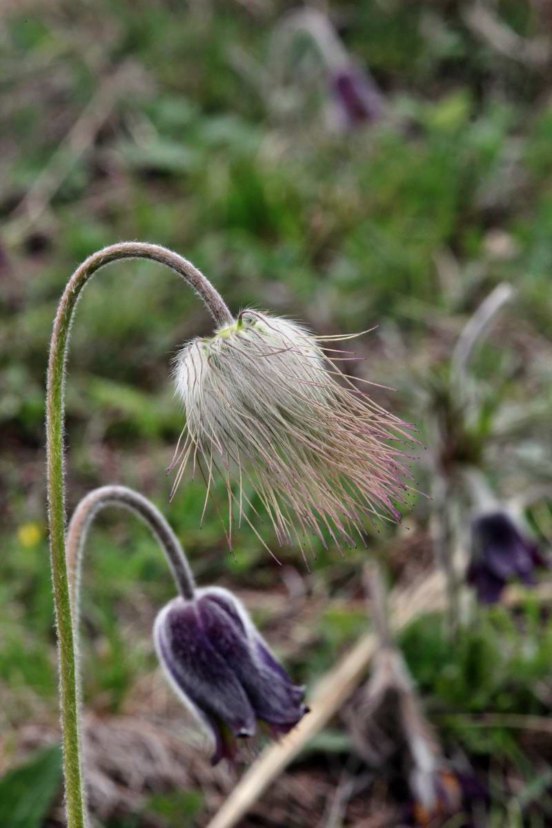 IMG_2013_04_29_00009805_2_Bildgr��e �ndern