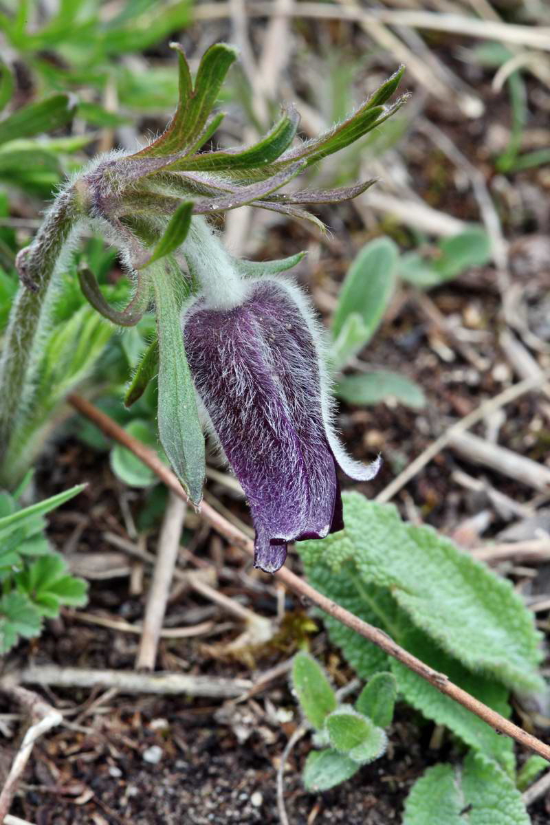 IMG_2013_04_29_00009819_2_Bildgr��e �ndern