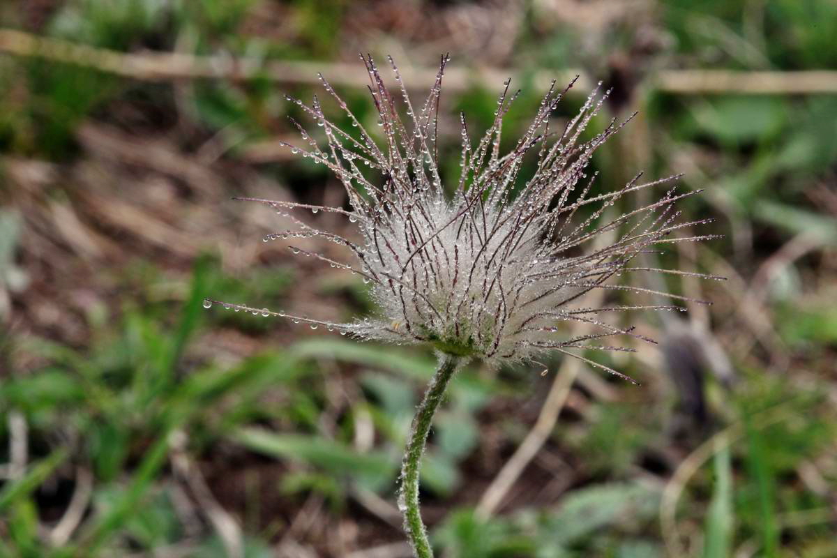 IMG_2013_04_29_00009968_2_Bildgr��e �ndern