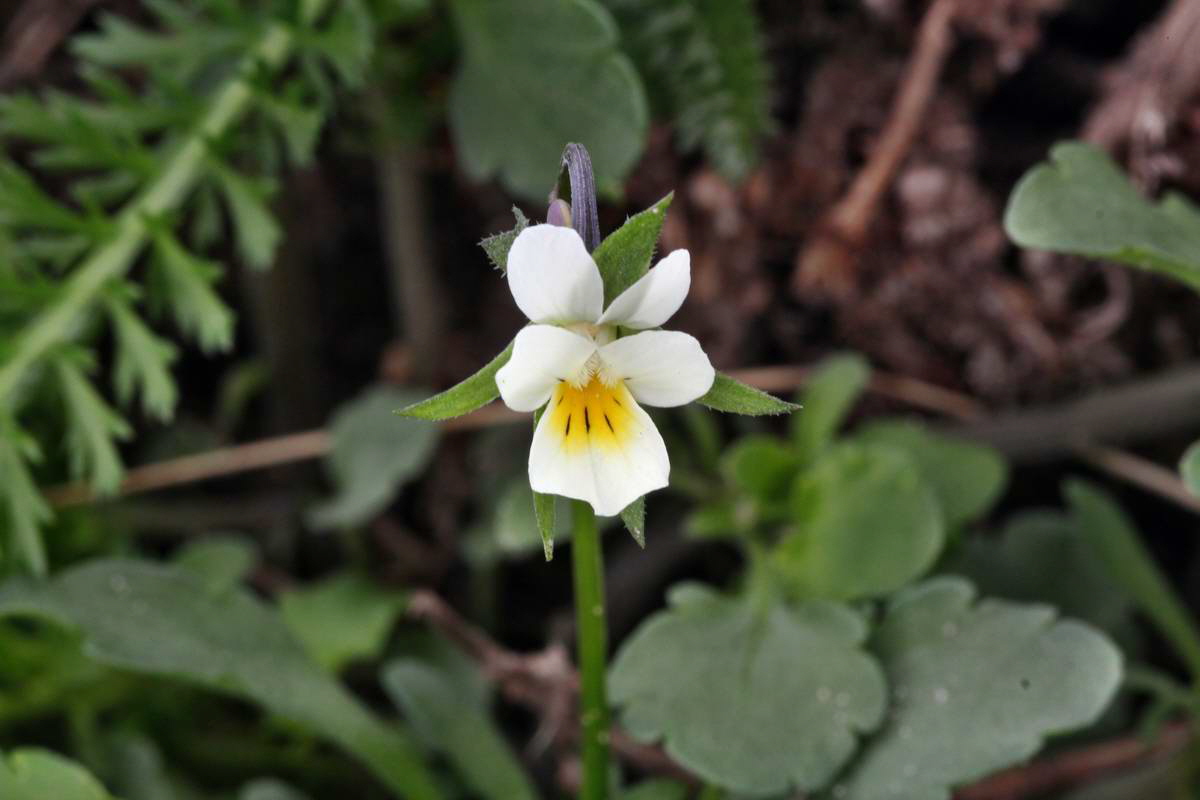 IMG_2013_04_29_00009996_2_Bildgr��e �ndern