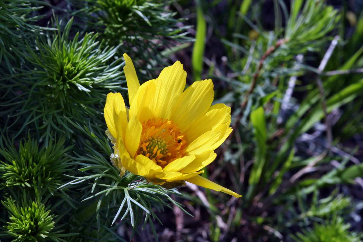 IMG_2013_04_29_00010066_2_Bildgr��e �ndern