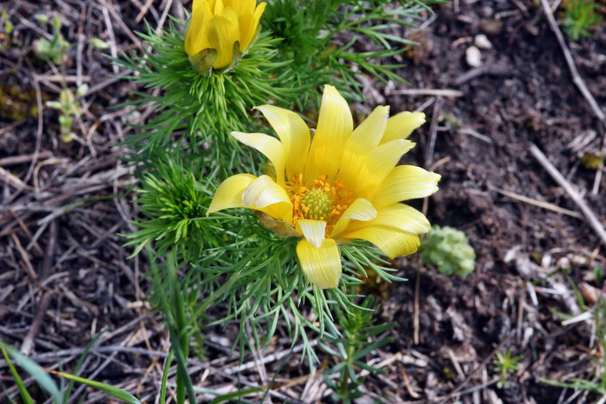 IMG_2013_04_29_00010083_2_Bildgr��e �ndern