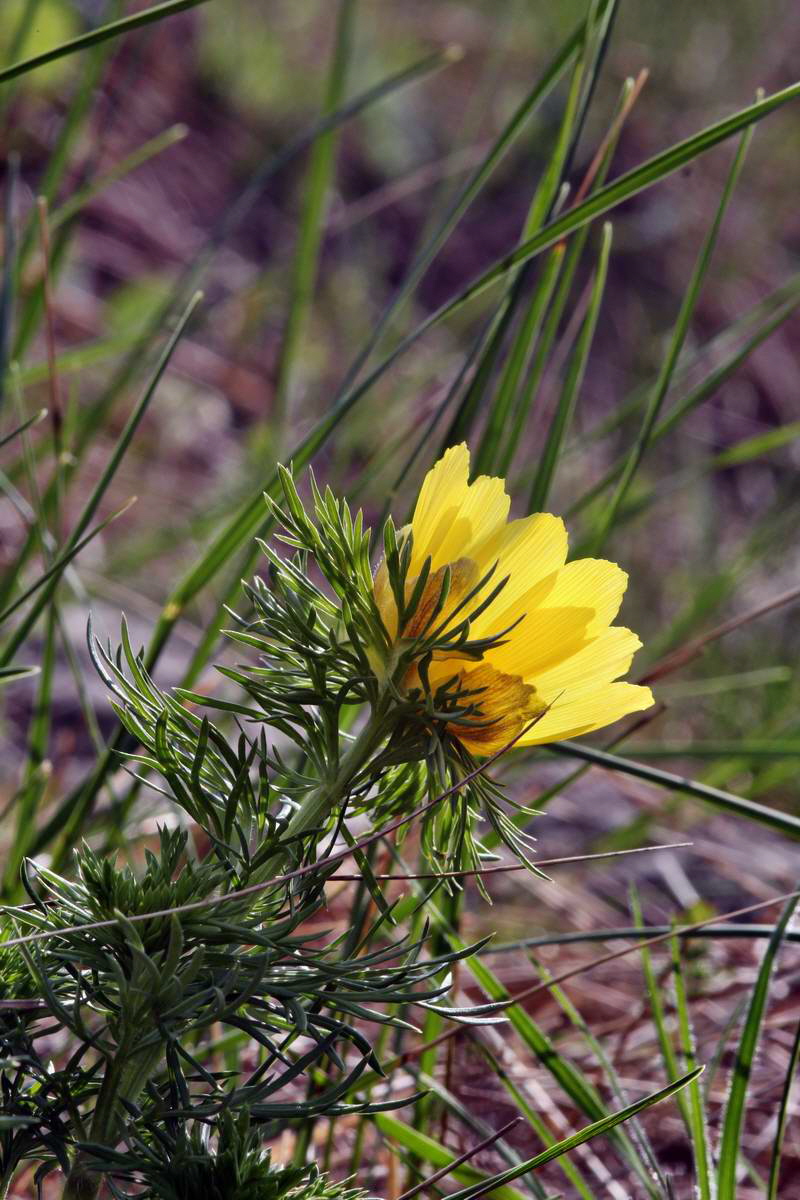 IMG_2013_04_29_00010093_2_Bildgr��e �ndern