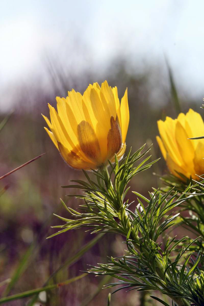 IMG_2013_04_29_00010102_2_Bildgr��e �ndern