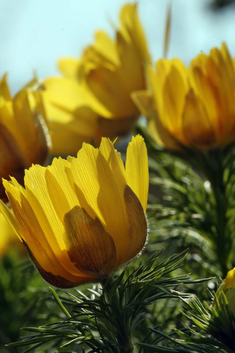 IMG_2013_04_29_00010103_2_Bildgr��e �ndern