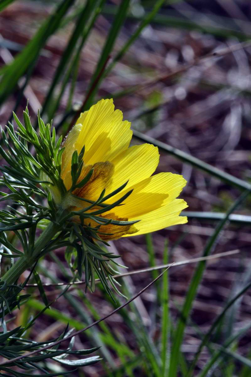 IMG_2013_04_29_00010126_2_Bildgr��e �ndern