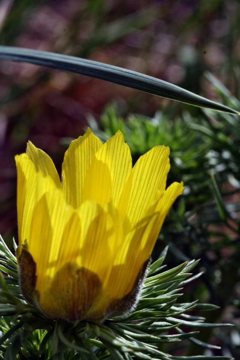 IMG_2013_04_29_00010131_2_Bildgr��e �ndern