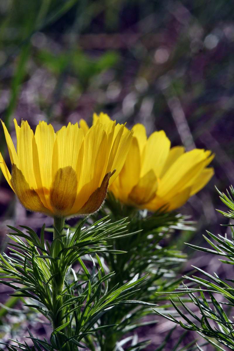 IMG_2013_04_29_00010137_2_Bildgr��e �ndern