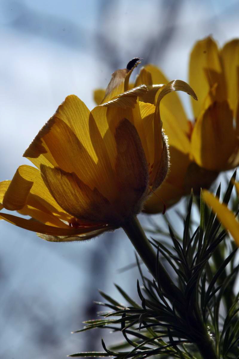 IMG_2013_04_29_00010139_2_Bildgr��e �ndern