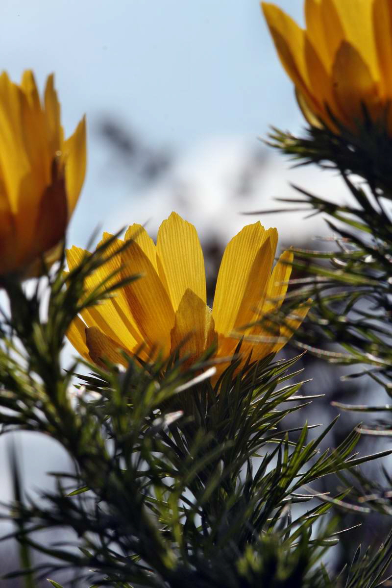 IMG_2013_04_29_00010143_2_Bildgr��e �ndern