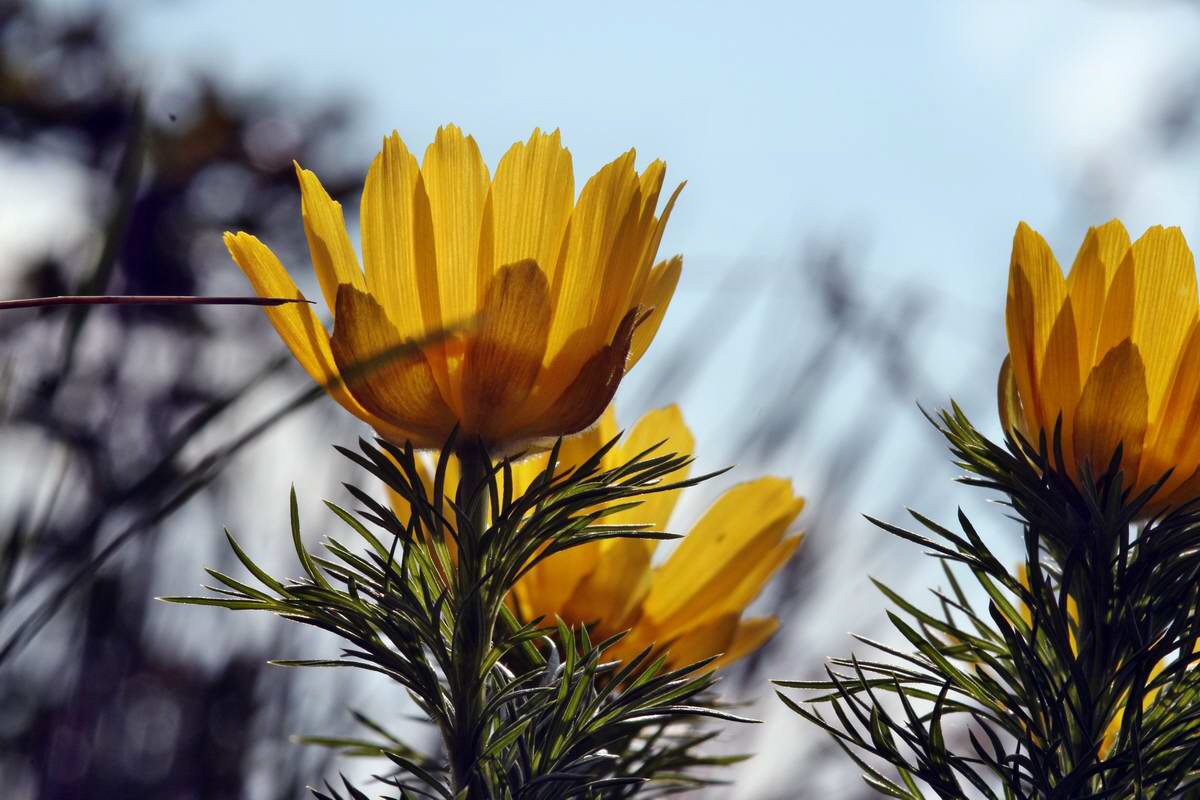 IMG_2013_04_29_00010158_2_Bildgr��e �ndern