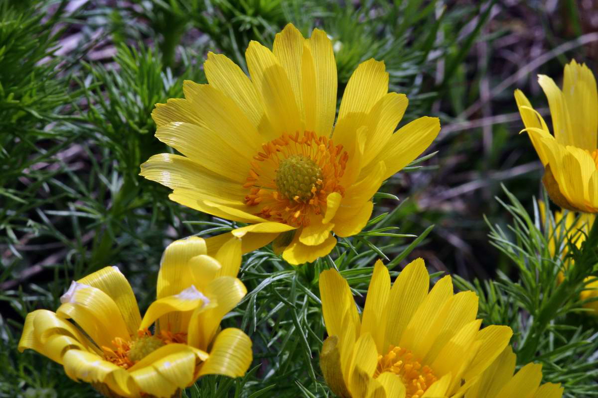 IMG_2013_04_29_00010168_2_Bildgr��e �ndern