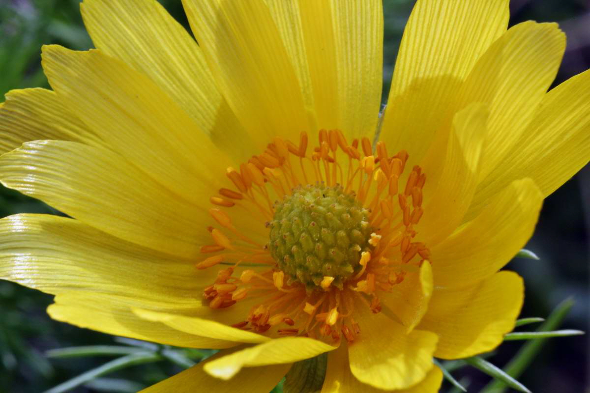 IMG_2013_04_29_00010171_2_Bildgr��e �ndern