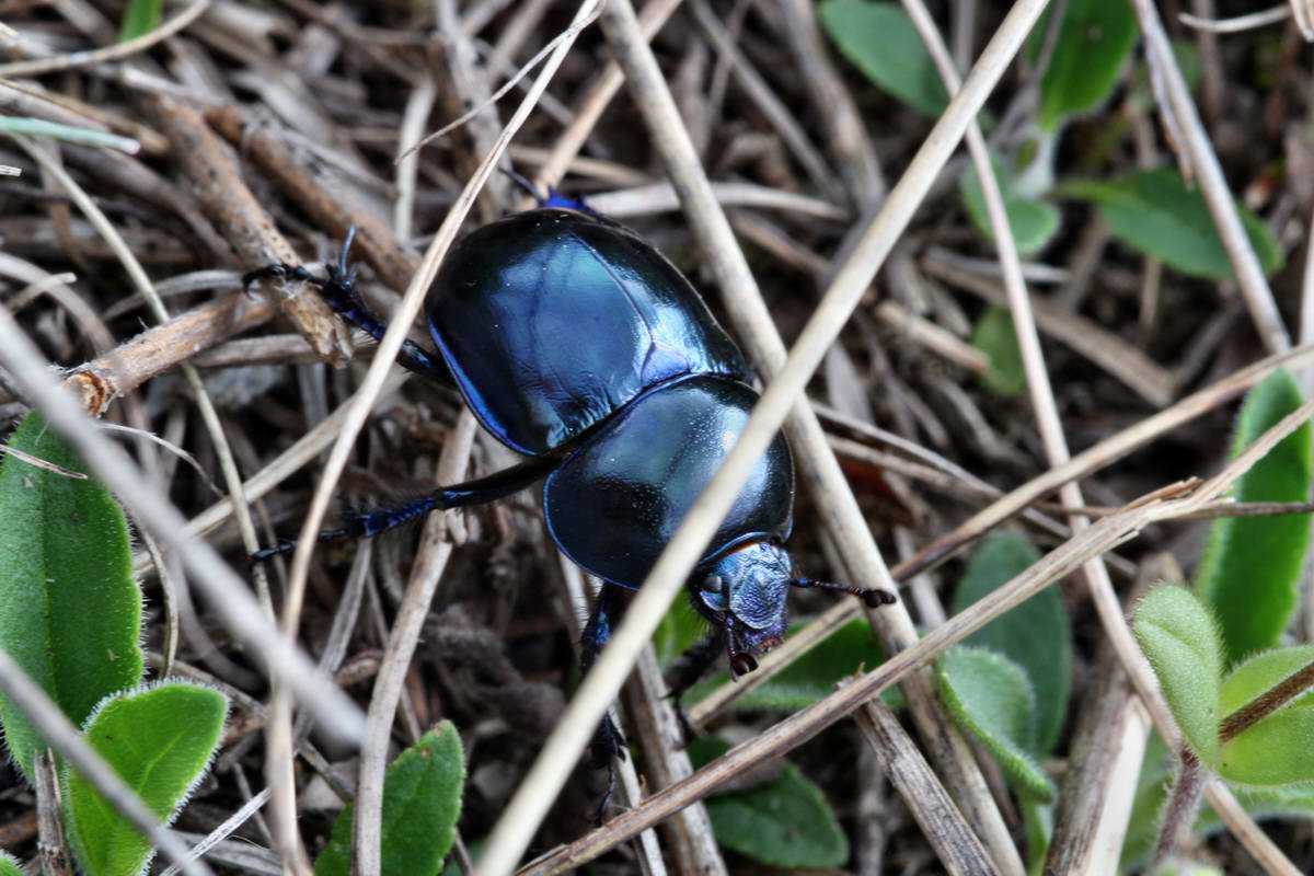 IMG_2013_04_29_00010200_2_Bildgr��e �ndern