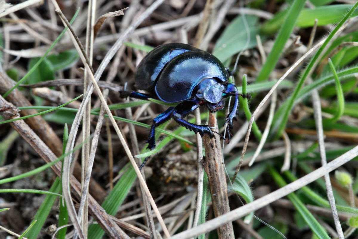 IMG_2013_04_29_00010217_2_Bildgr��e �ndern