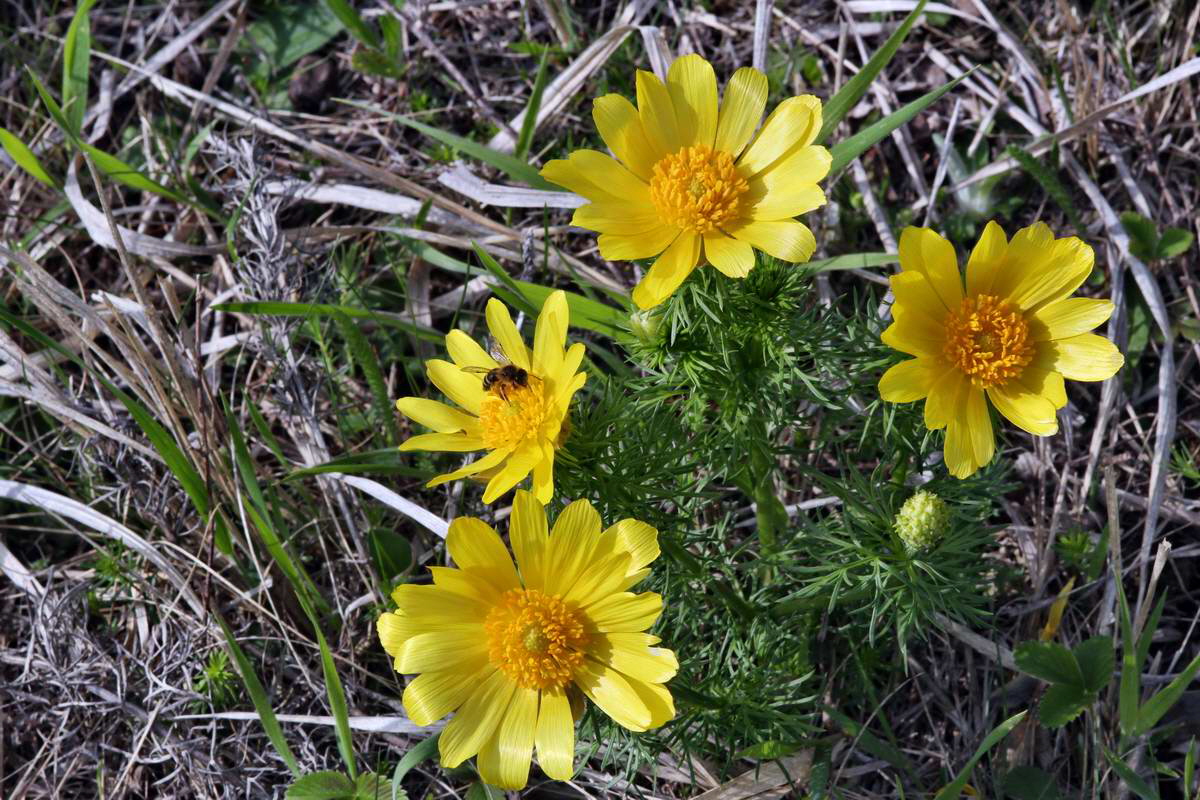 IMG_2013_04_29_00010260_2_Bildgr��e �ndern