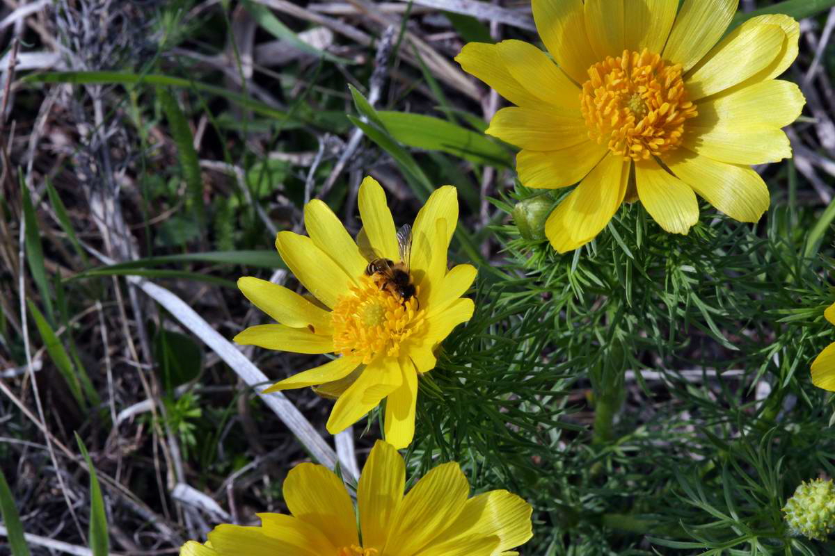 IMG_2013_04_29_00010264_2_Bildgr��e �ndern