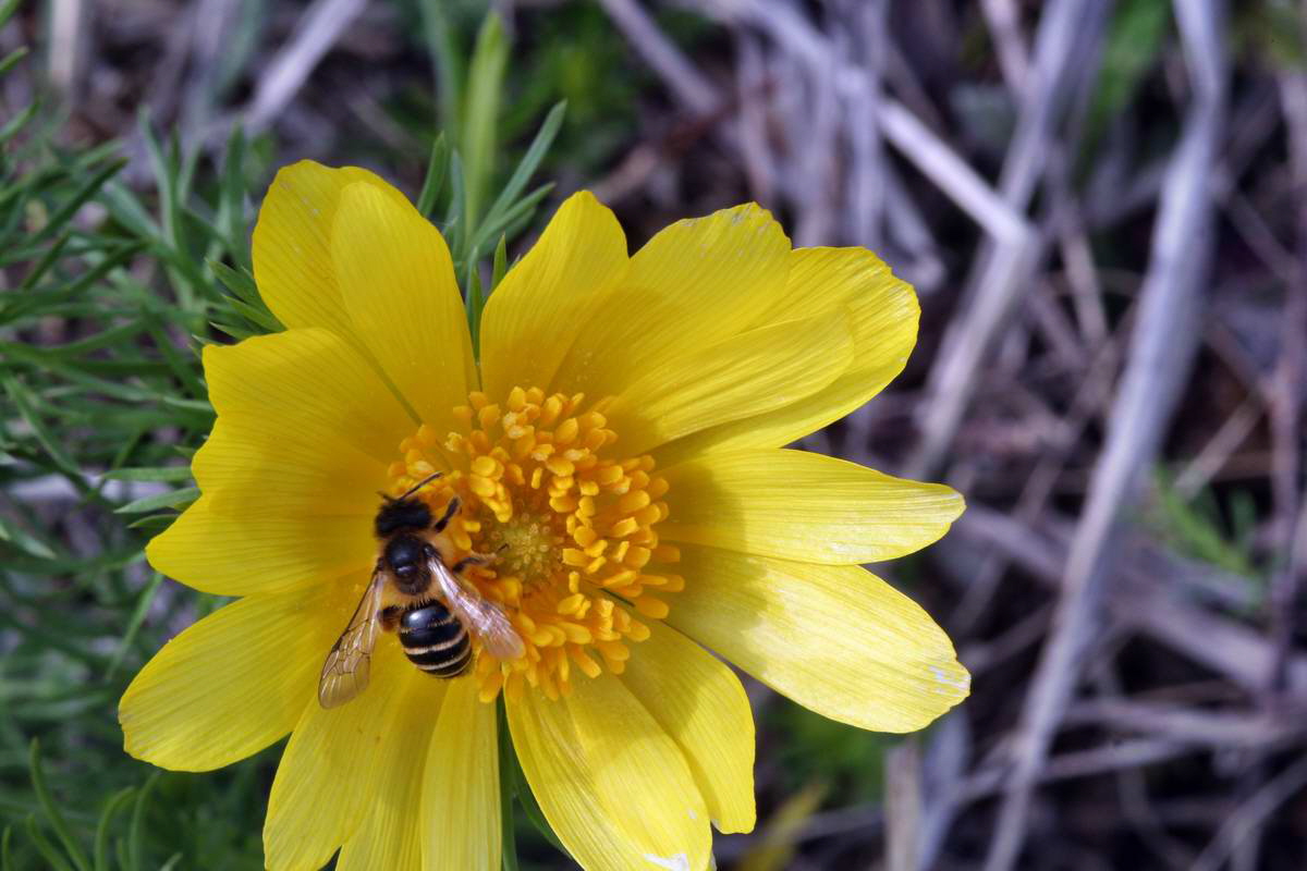 IMG_2013_04_29_00010293_2_Bildgr��e �ndern