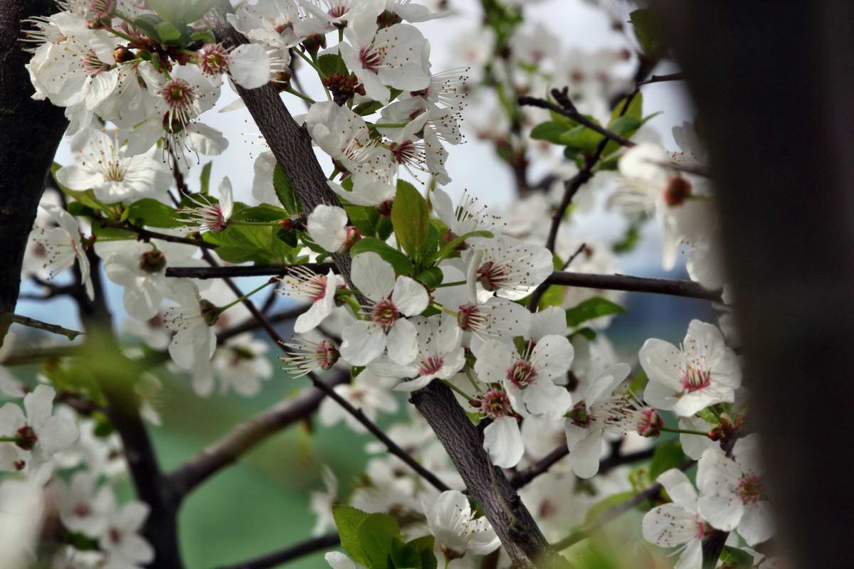 IMG_2013_04_29_00010311_2_Bildgr��e �ndern