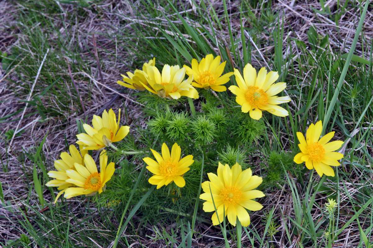 IMG_2013_04_29_00010318_2_Bildgr��e �ndern