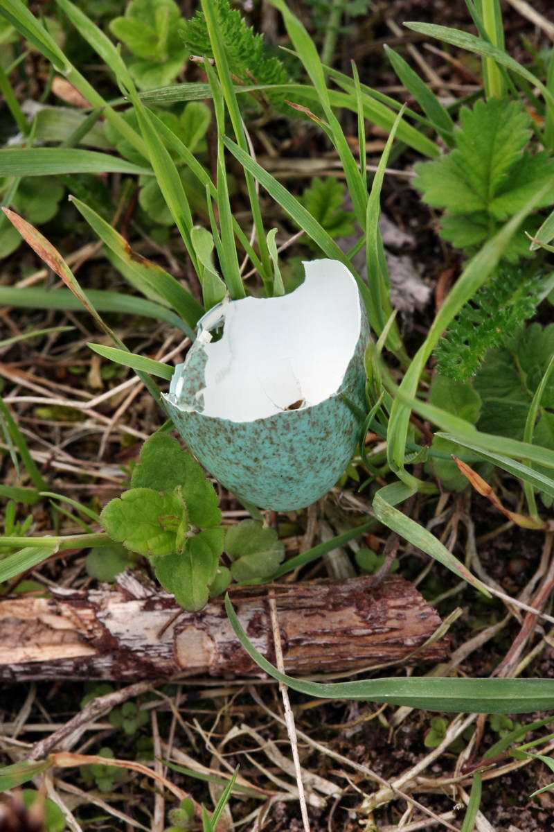 IMG_2013_04_29_00010341_2_Bildgr��e �ndern