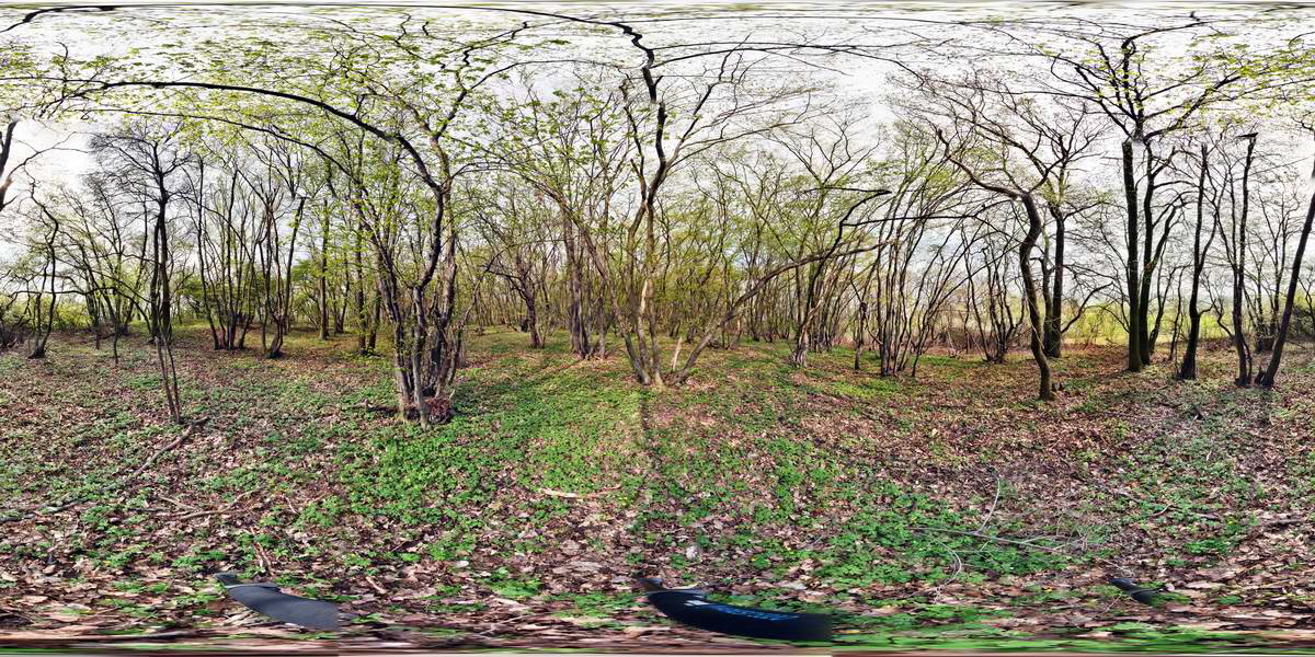 [pano1]-IMG_2013_04_30_00010354_2 1_IMG_2013_04_30_00010410_2 1-46 images_Bildgr��e �ndern