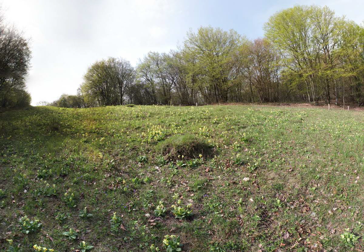 [pano3]-IMG_2013_04_30_00010429_IMG_2013_04_30_00010488-19 images_Bildgr��e �ndern