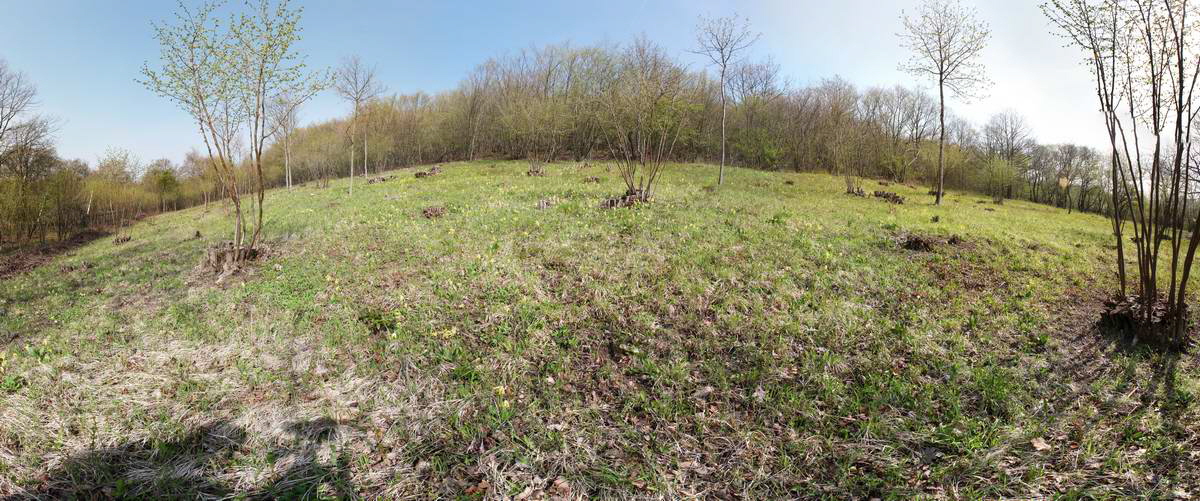 [pano3]-IMG_2013_04_30_00010523_IMG_2013_04_30_00010592-55 images_Bildgr��e �ndern