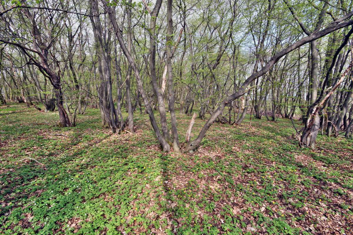 IMG_2013_04_30_00010377_2_Bildgr��e �ndern