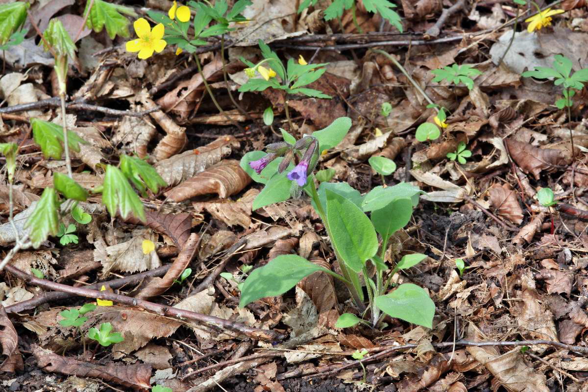 IMG_2013_04_30_00010414_2_Bildgr��e �ndern