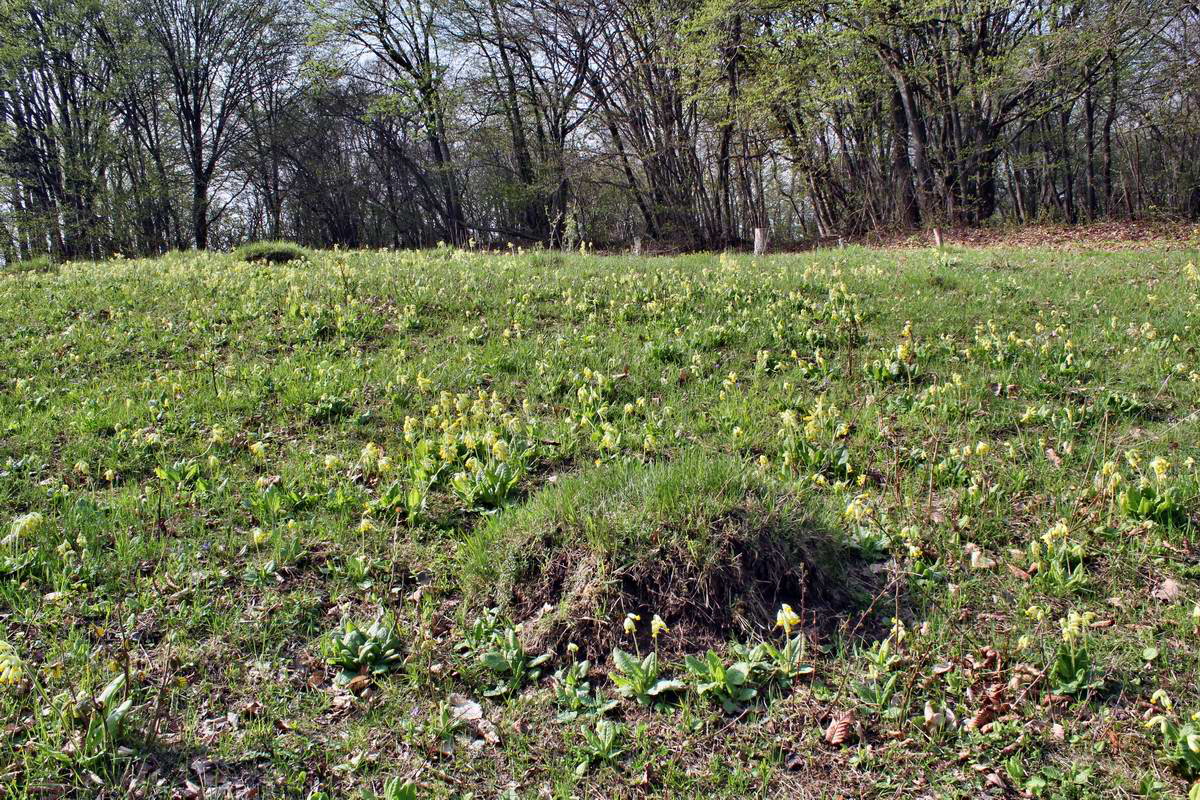 IMG_2013_04_30_00010461_2_Bildgr��e �ndern