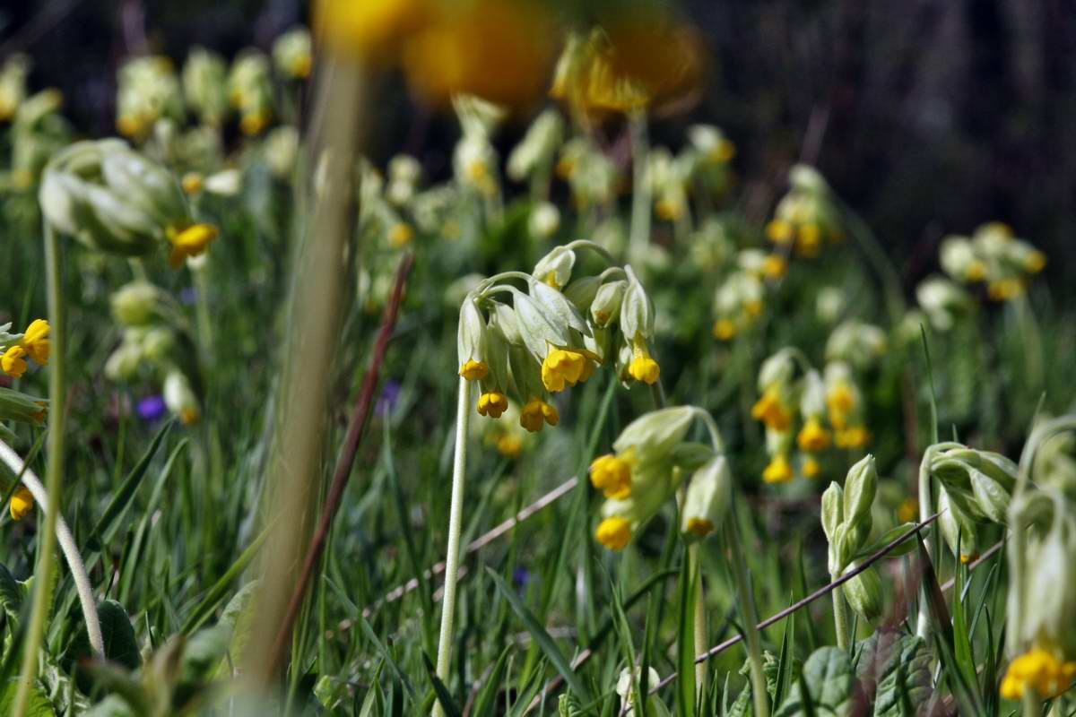 IMG_2013_04_30_00010492_2_Bildgr��e �ndern