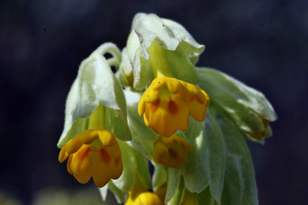 IMG_2013_04_30_00010496_2_Bildgr��e �ndern