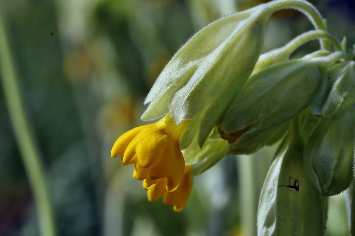 IMG_2013_04_30_00010499_2_Bildgr��e �ndern