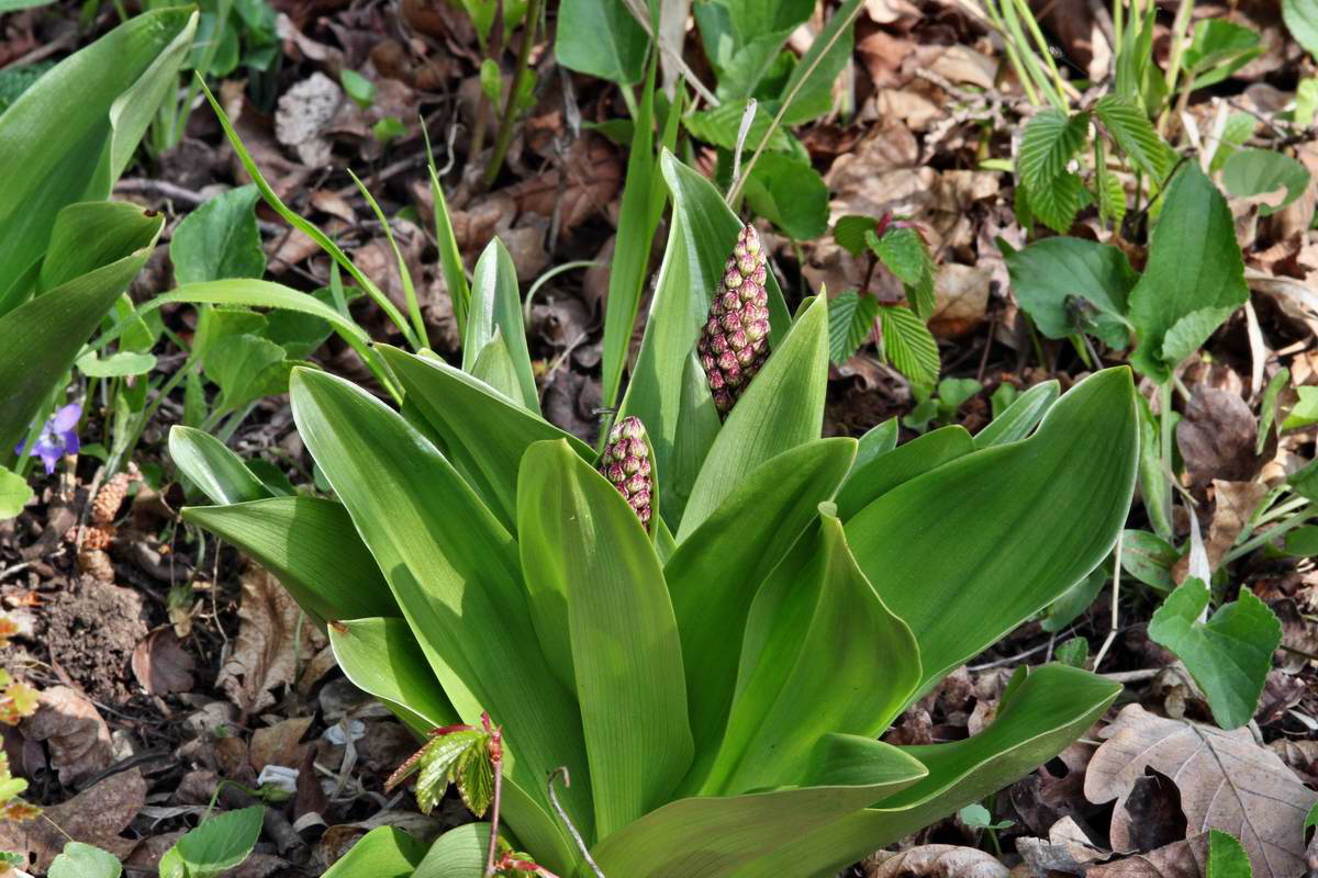 IMG_2013_04_30_00010514_2_Bildgr��e �ndern