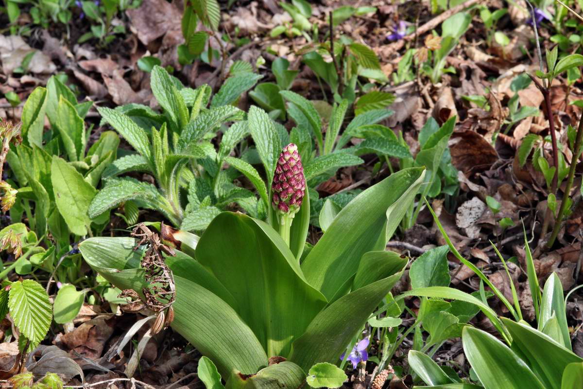 IMG_2013_04_30_00010516_2_Bildgr��e �ndern