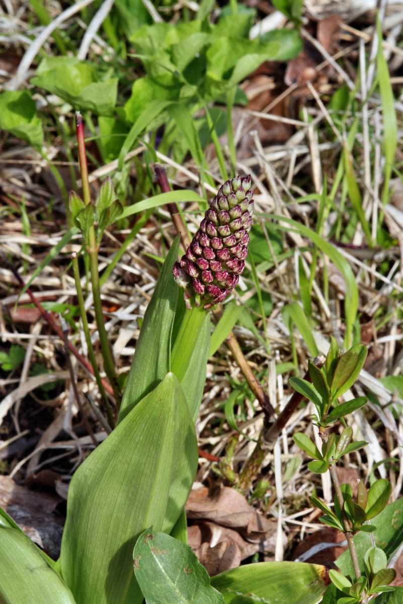 IMG_2013_04_30_00010593_2_Bildgr��e �ndern