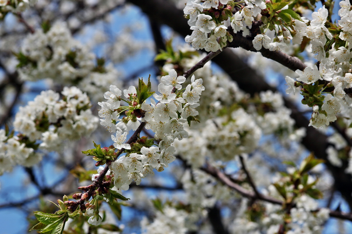 2013_05_04_00010596_Bildgr��e �ndern