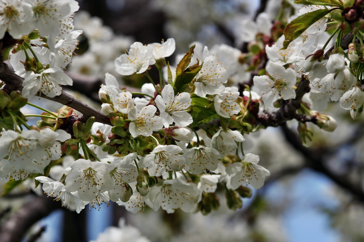 2013_05_04_00010598_Bildgr��e �ndern