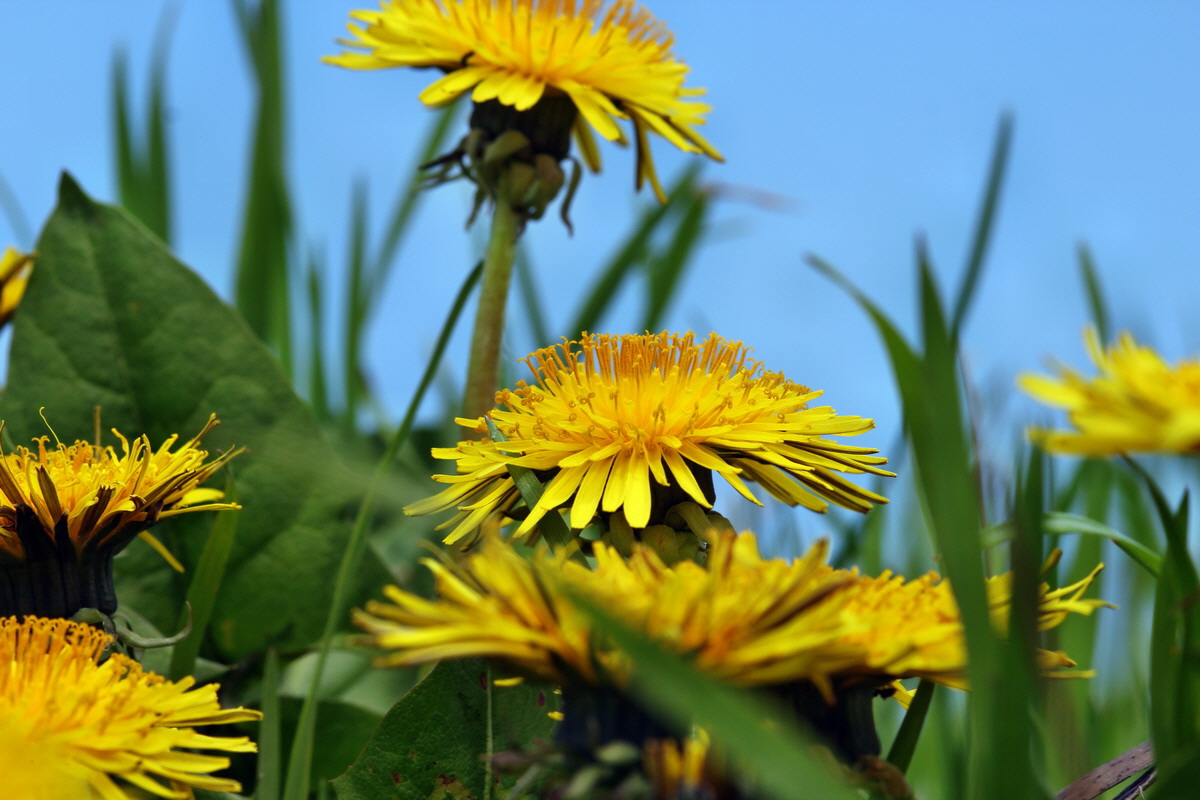 2013_05_04_00010606_Bildgr��e �ndern