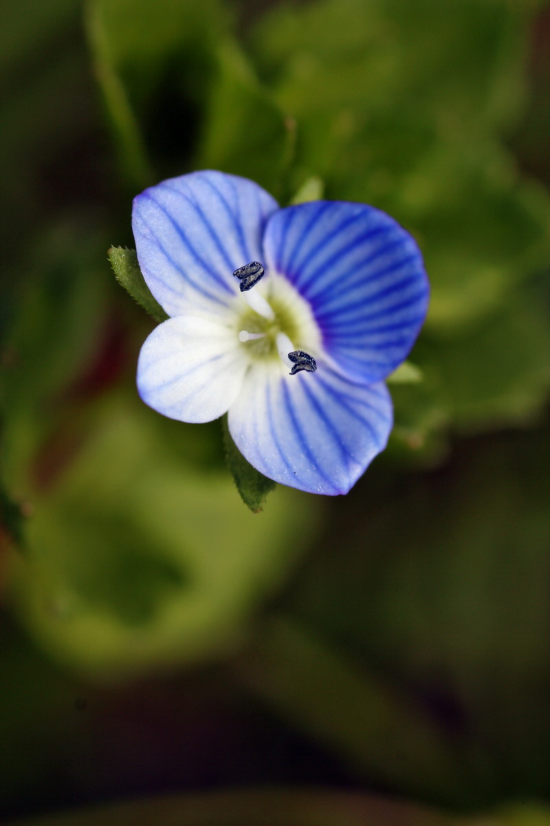 2013_05_04_00010612_Bildgr��e �ndern