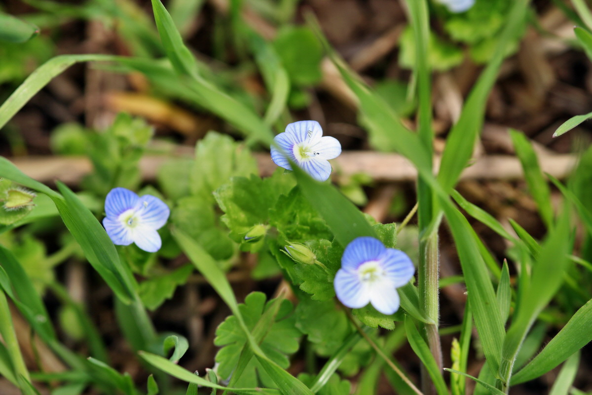 2013_05_04_00010620_Bildgr��e �ndern