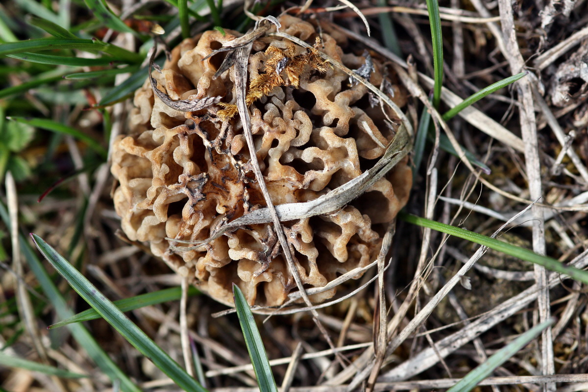 2013_05_04_00010641_Bildgr��e �ndern