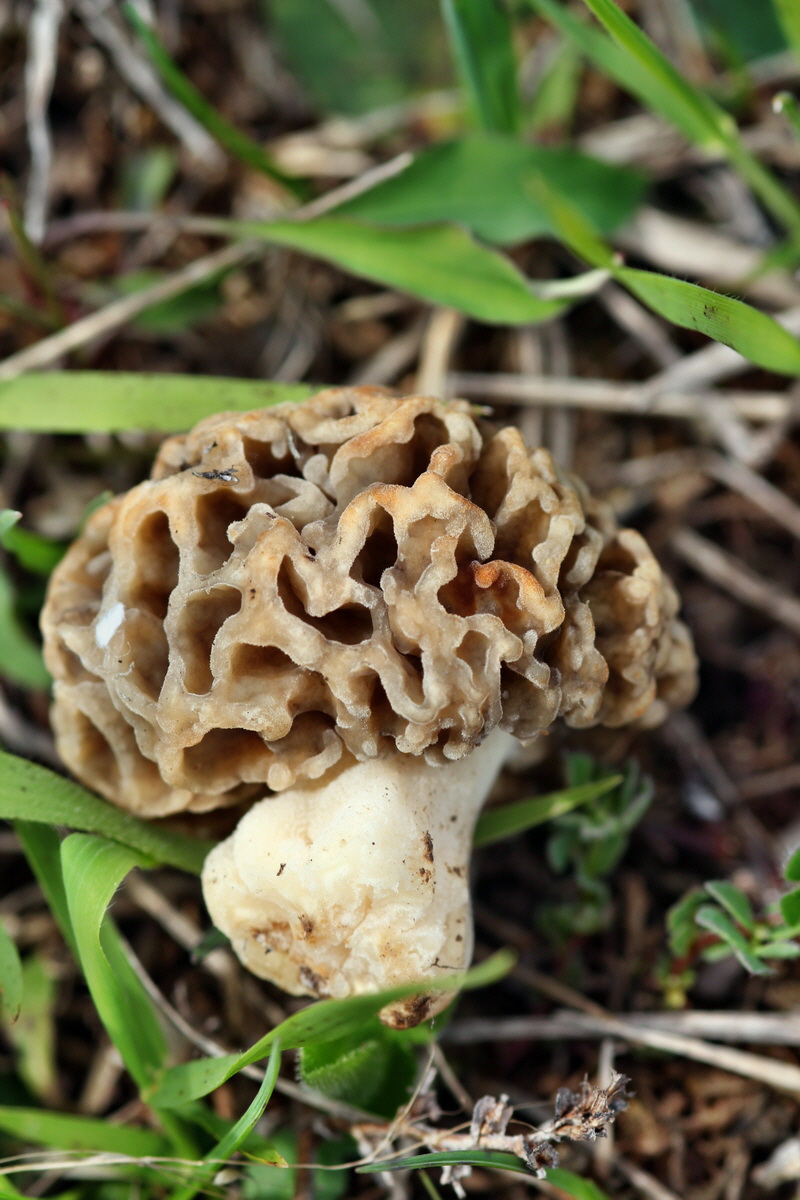 2013_05_04_00010647_Bildgr��e �ndern