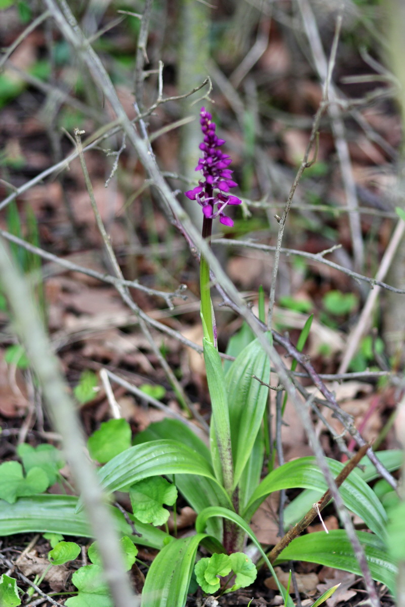 2013_05_04_00010655_Bildgr��e �ndern