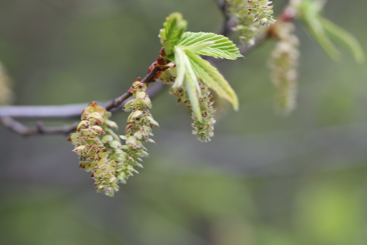 2013_05_04_00010667_Bildgr��e �ndern