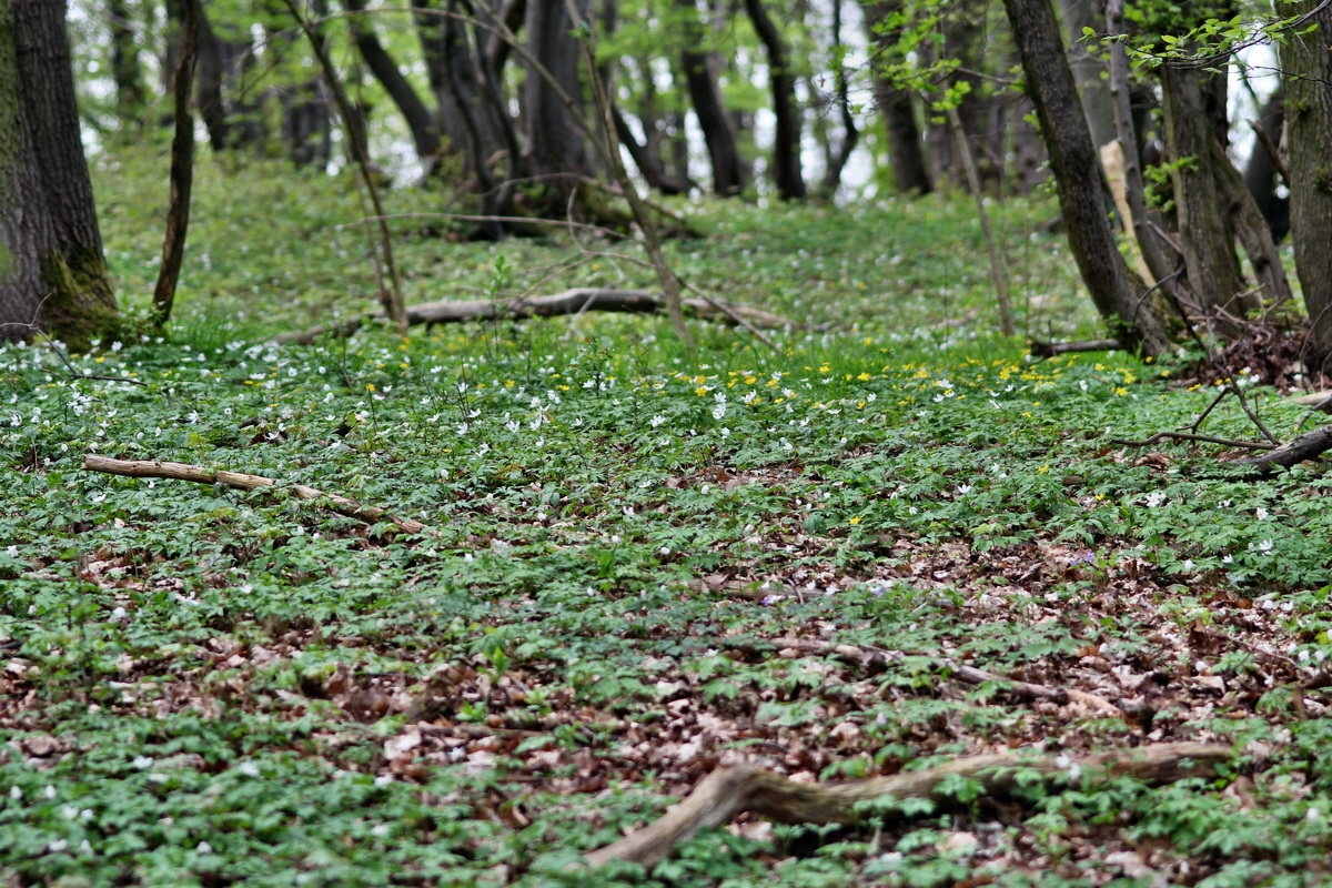 2013_05_04_00010683_Bildgr��e �ndern