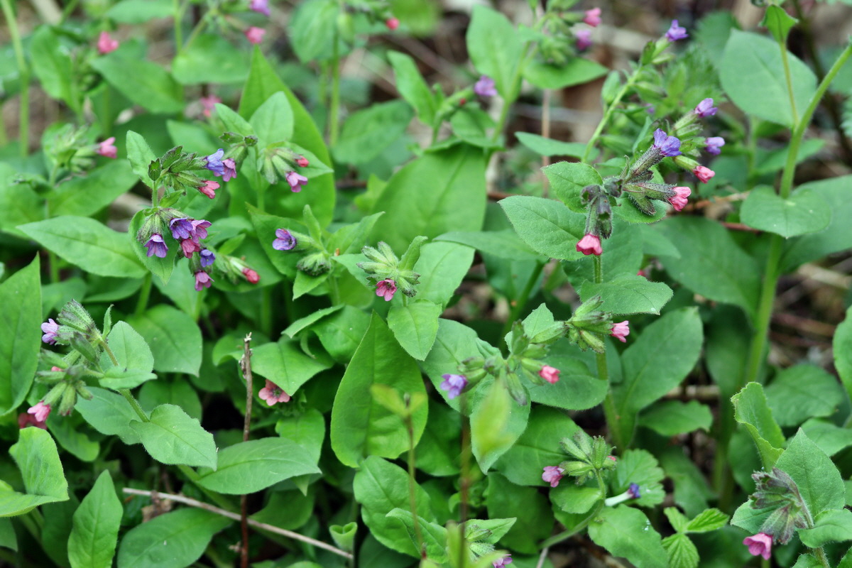 2013_05_04_00010691_Bildgr��e �ndern