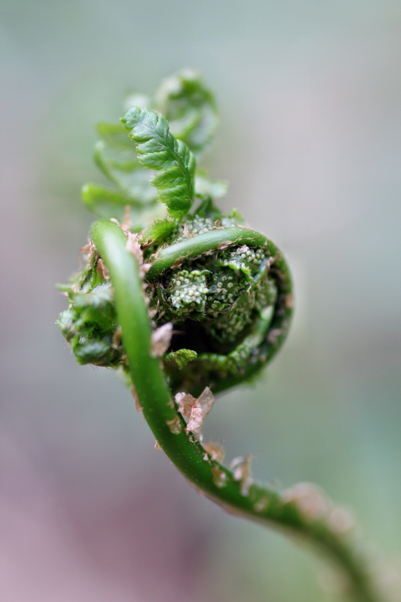 2013_05_04_00010714_Bildgr��e �ndern