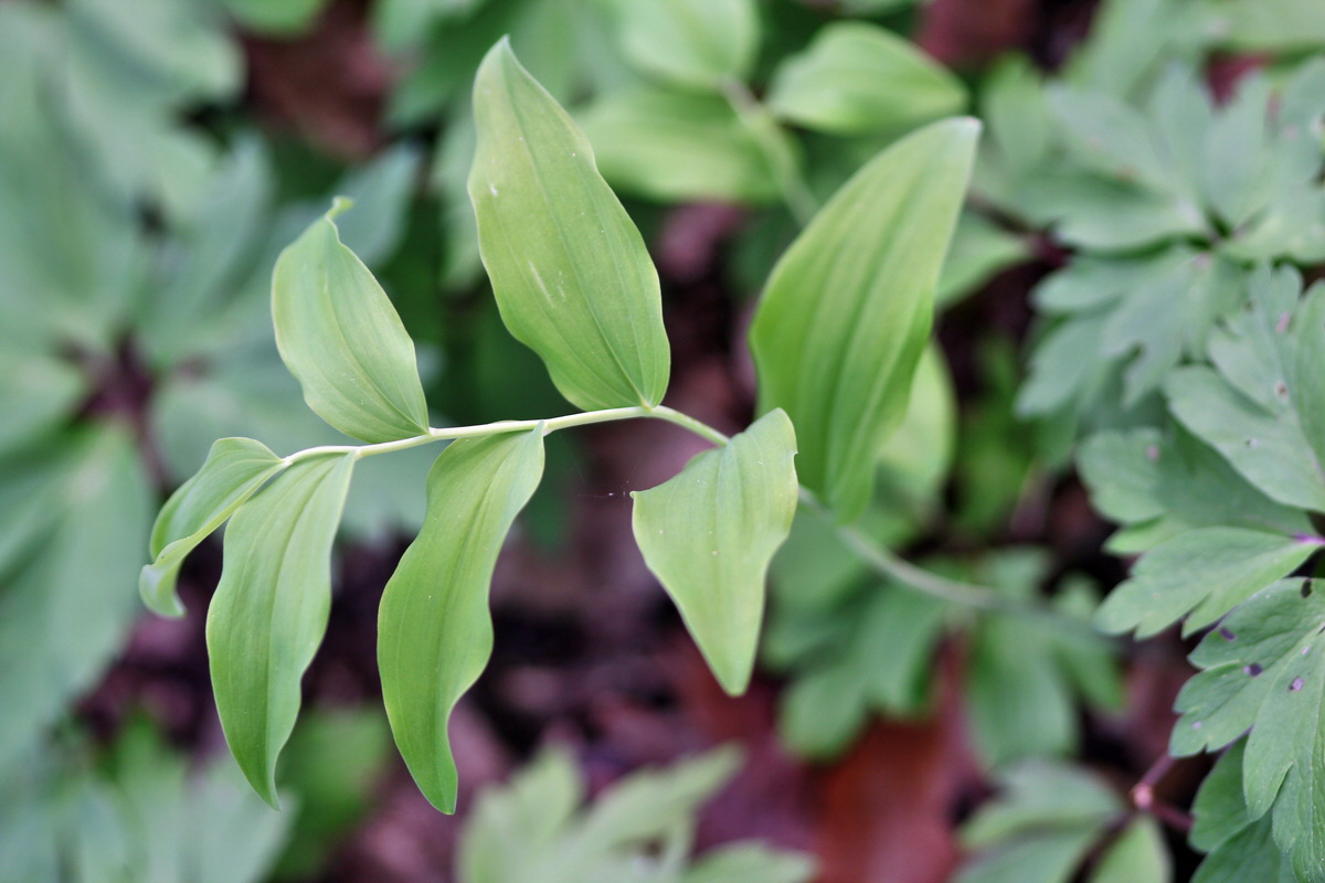 2013_05_04_00010718_Bildgr��e �ndern